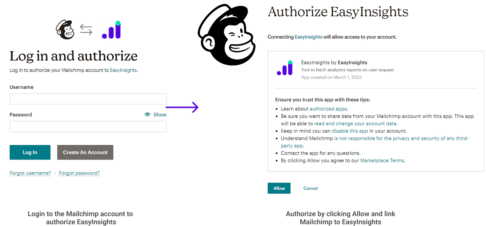 authorise easyinsights to access mailchimp